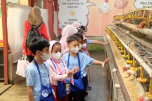 Kegiatan Field Trip